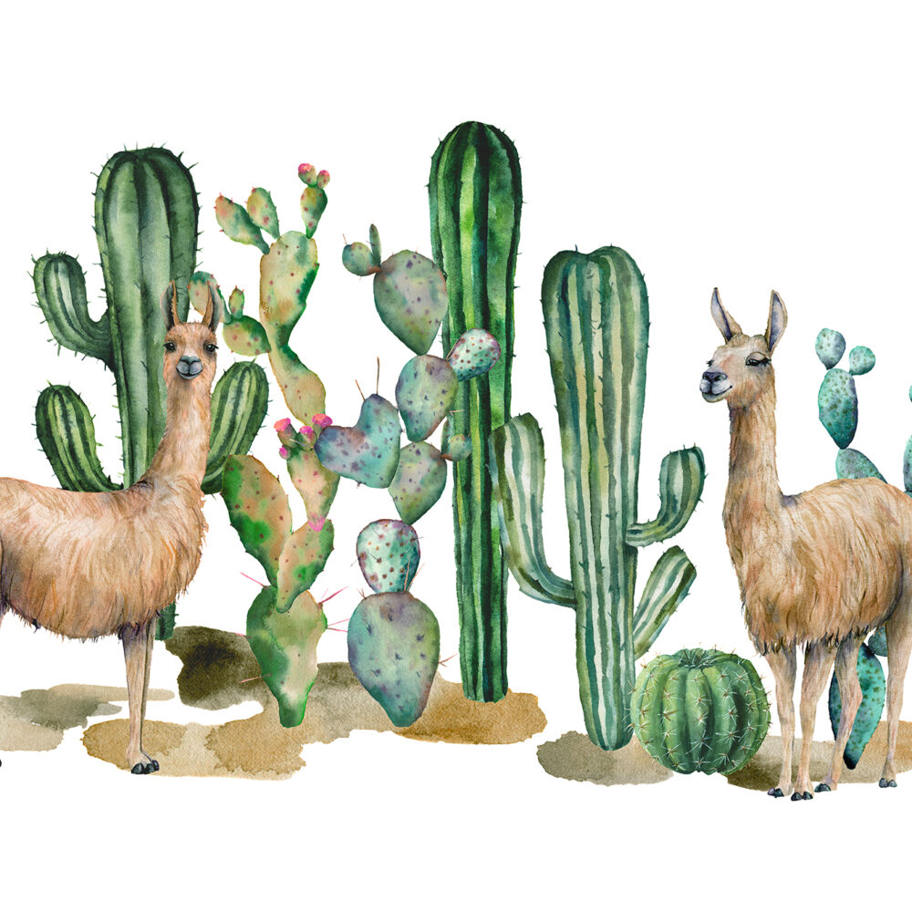 Aquarell von Lama mit Kaktus