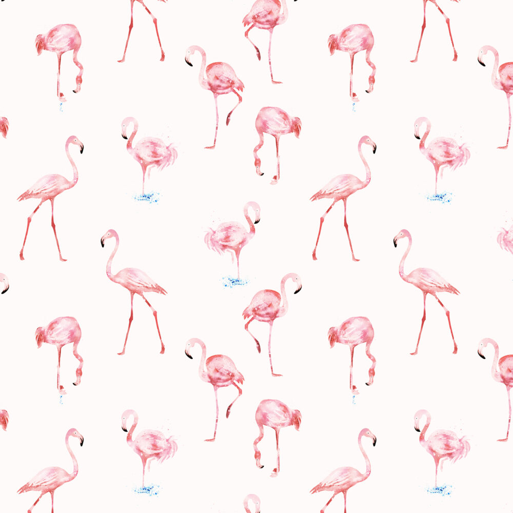 Rosa Flamingo