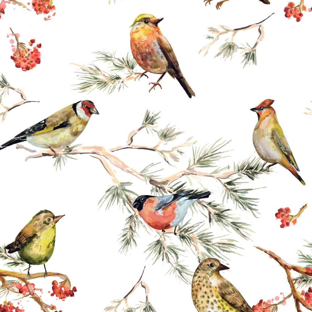 Vögel und Vogelbeeren