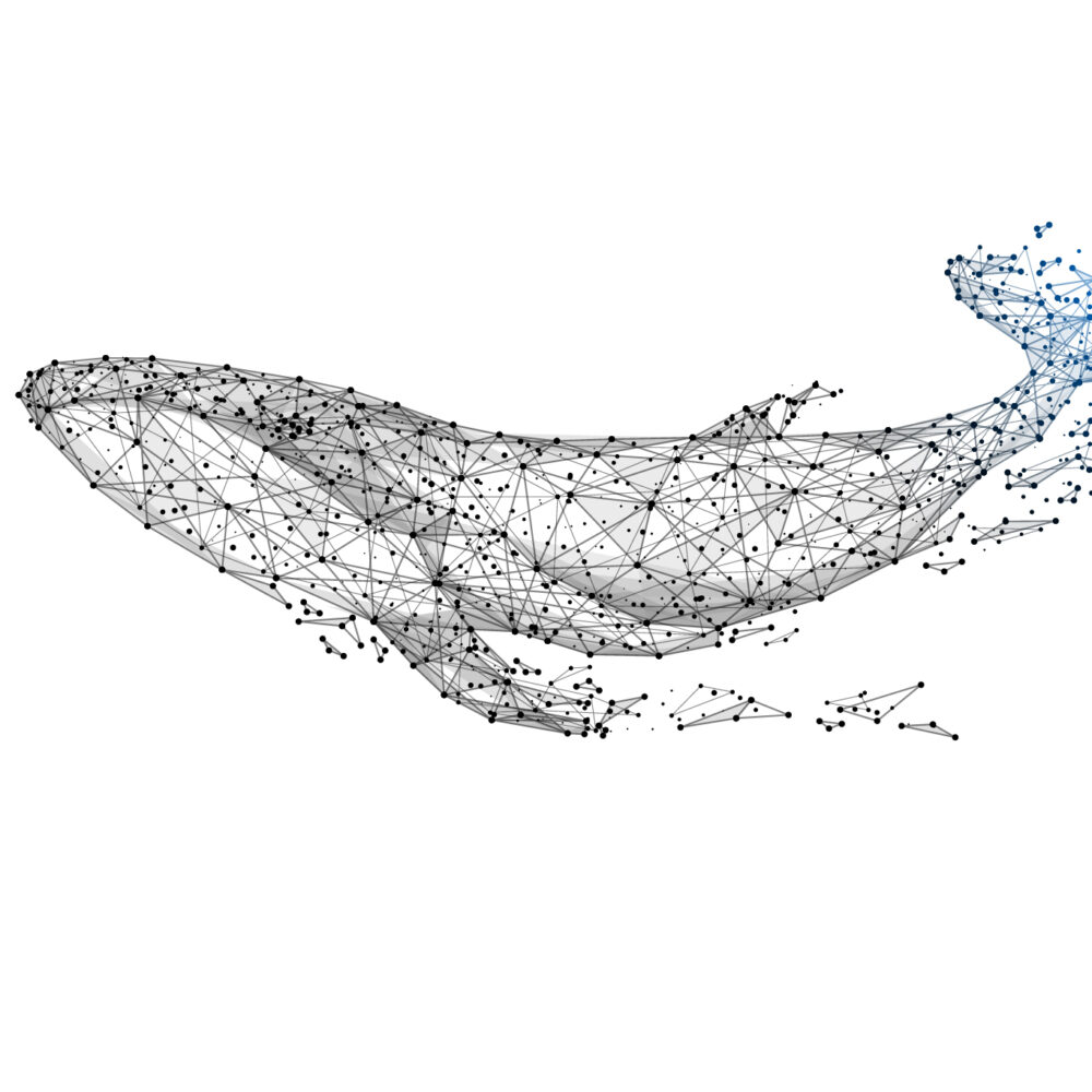 Polygonale Zeichnung eines Wals